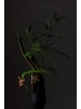 Villeroy & Boch Vase Manufacture Collier in – 26 cm in Noir