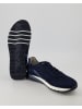 Pius Gabor Sneaker low in Blau