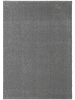 the carpet Kurzflorteppich Grande in Grau