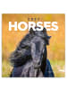 NOTIQUE Wandkalender 2027 Kalendarium in Horses – Christiane Slawik - 30 x 30 cm