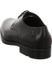 LLOYD Schnürschuhe in schwarz