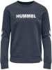 Hummel Pullover in Blau