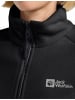 Jack Wolfskin Jacke für Damen in kombi