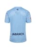 Hummel T-Shirt Rcc 24/25 Erwachsene in BLUE BELL