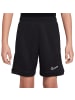 Nike Nike Dri Fit Academy 25 Shorts in Schwarz