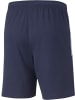 Puma Sporthose "TeamLIGA Training Shorts" in Blau