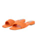 Steve Madden Pantoletten in Orange