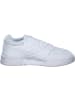 Lacoste Klassische- & Business Schuhe in WHT/WHT