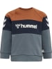 Hummel Hummel Sweatshirt Hmlsamson Jungen in STORMY WEATHER