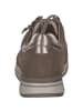 Caprice Schnürschuhe in TAUPE COMB