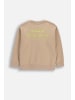 Coccodrillo Sweatshirt ohne Kapuze in beige