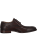 DIGEL Klassische- & Business Schuhe in Brown