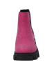 Palado Chelsea Boots Paros in Pink