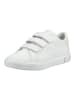 Lacoste Sneaker POWERCOURT Weiß/Weiß