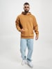 Puma Hoodie in brown