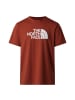 The North Face Evolution Half Dome Regular T-Shirt in Rot