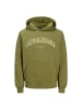 Jack and Jones Hoodie JORALMERIA Sweat Hood in Grün