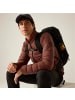 Regatta Jacke Marizion Baffle in Braun