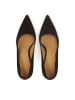 Kazar Pumps in Braun