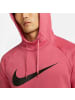 Nike Hoodie für Herren in uni