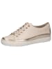 Caprice Sneaker in CREAM COMB