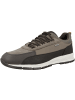 Geox Sneaker low U Delray B ABX B in braun