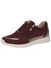 Caprice Sneaker in BORDEAUX COMB