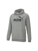 Puma Hoodie 'Essentials' in hellgrau