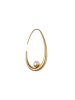 grassland Women Earrings in Gold
