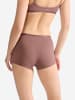 Sloggi Retro Pants GO Daily Cotton Short in CACAO