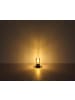 Globo lighting Wandleuchte "FINCA" in black