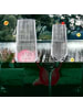 Mr. & Mrs. Panda Trinkglas Spruch Sektglas Freude mit Spruch in Transparent