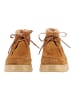 Högl Stiefelette 2-102435 in Camel
