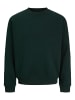 Jack & Jones Sweatshirt in Scarab