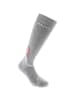 LA SPORTIVA WINTER SOCKS in Grau