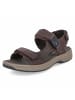 Clarks Sandalen SALTWAY in Braun