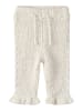 name it Hose in Turtledove1