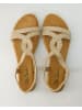 Ella Cruz Sandalen in Gold