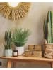 Beliani Kunstpflanze ARECA PALM in Grün/Schwarz - (W) 7 x (H) 45 x (L) 7 cm