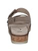 Caprice Sandalen in taupe suede