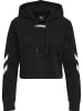 Hummel Hoodie Hmllegacy Woman Cropped Hoodie in BLACK