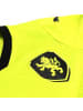 Puma Trikot in Grün
