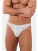 HOM Slip / Unterhose Premium Cotton in Weiß / grau