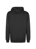 adidas Performance Trainingskapuzenpullover Entrada 22 in schwarz