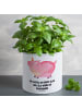 Mr. & Mrs. Panda Blumentopf Einhorn Schwein mit Spruch in Weiß