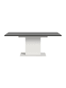 ebuy24 Esstisch Motion Grau 150 x 90 cm