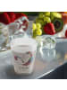 Mr. & Mrs. Panda Schnapsglas Einhorn Wolke 7 ohne Spruch in Transparent