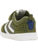 Hummel Hummel Schnürsenkel Sneaker Low Crosslite Infant Jungen in CAPULET OLIVE