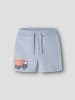 name it Shorts in Blue Fog