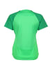 Nike Performance Trainingsshirt Academy Pro in grün / dunkelgrün